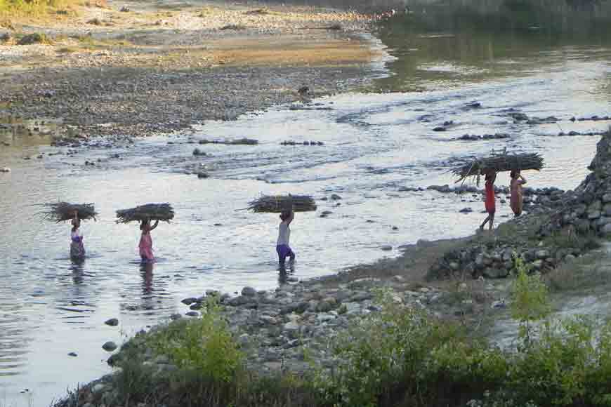 Sisamara, the birder’s paradise of North Bengal